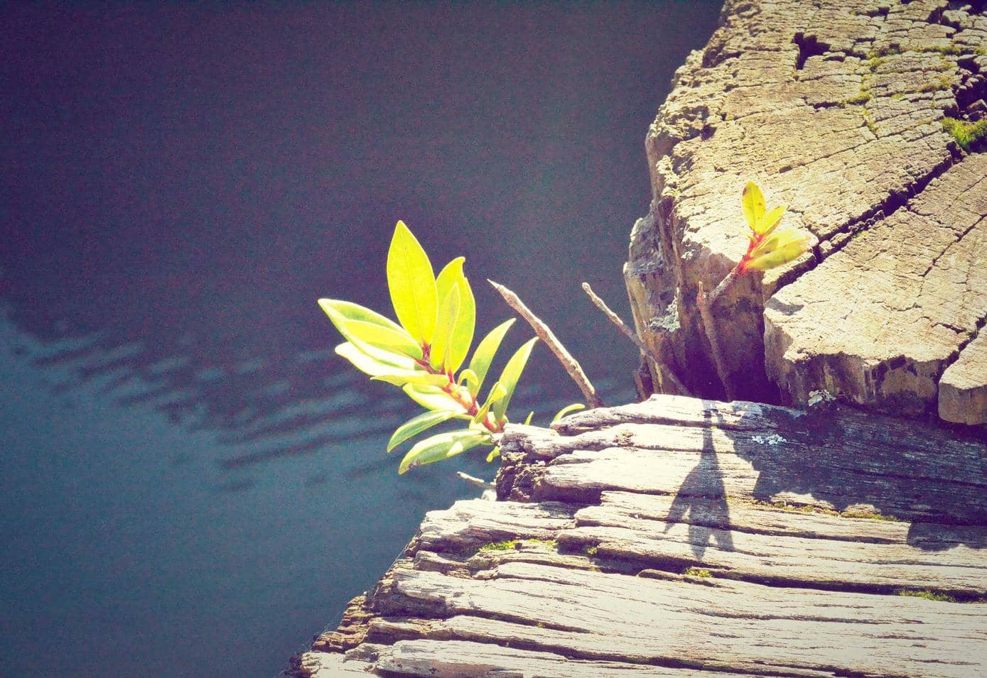 Test_rgaDKPNZiU LcLrUzefxP